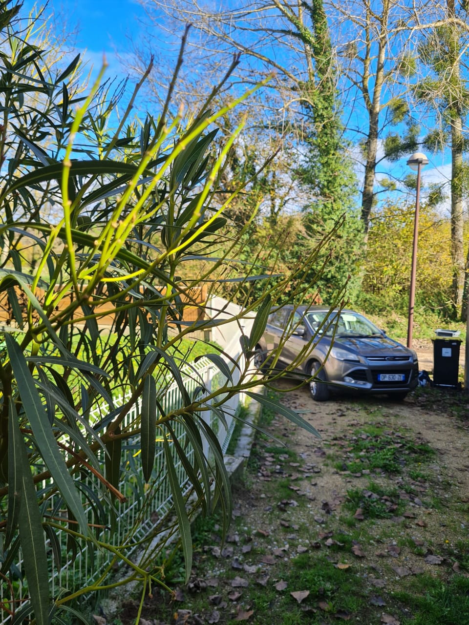Property grounds