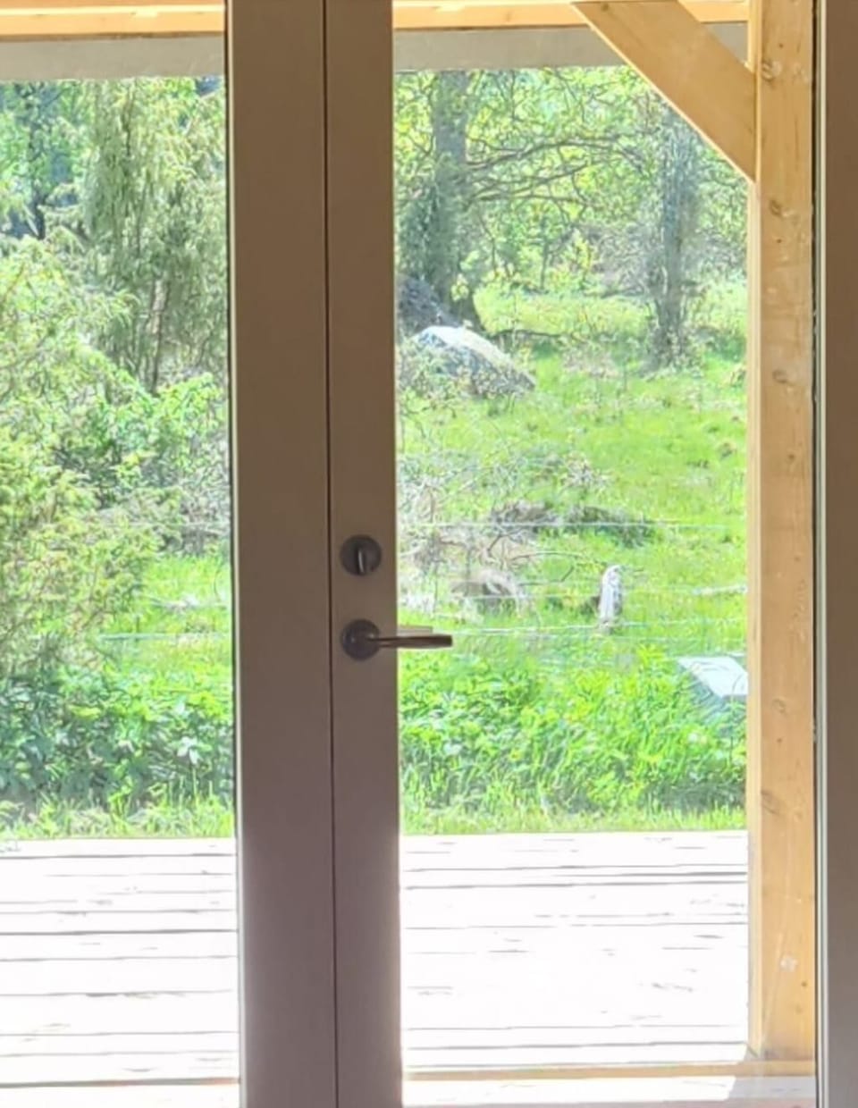 Panoramic wilderness views at ÄLGHAGEN.  New glass doors and new large windows. 