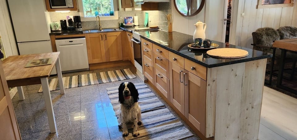 Dog friendly vacation house Fenced in property with a big gate. AC on main floor