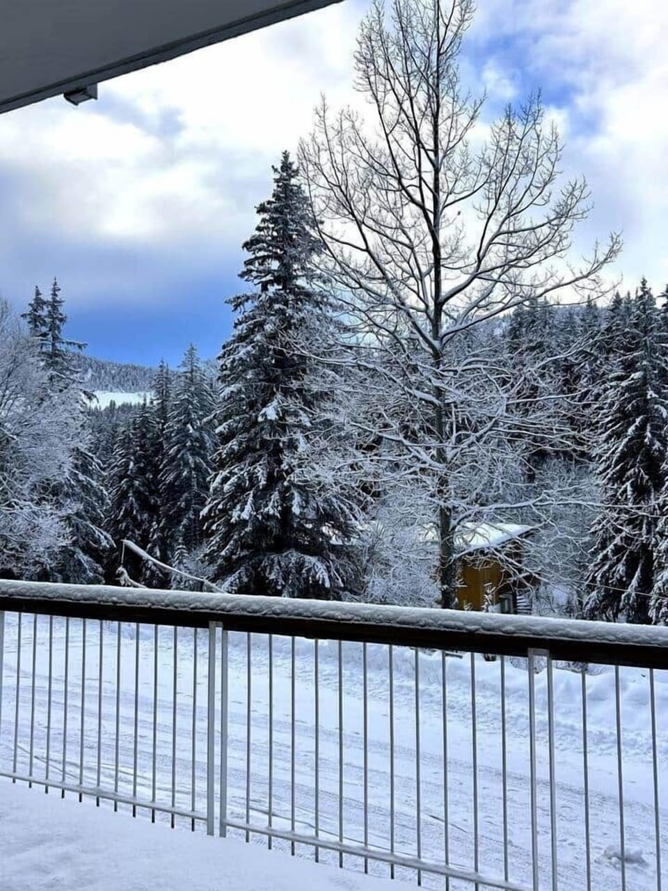 view from terrace