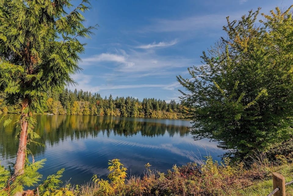 Lake view from playground