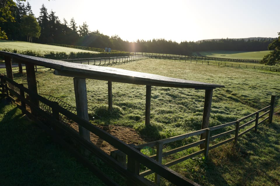 Winter morning views.
