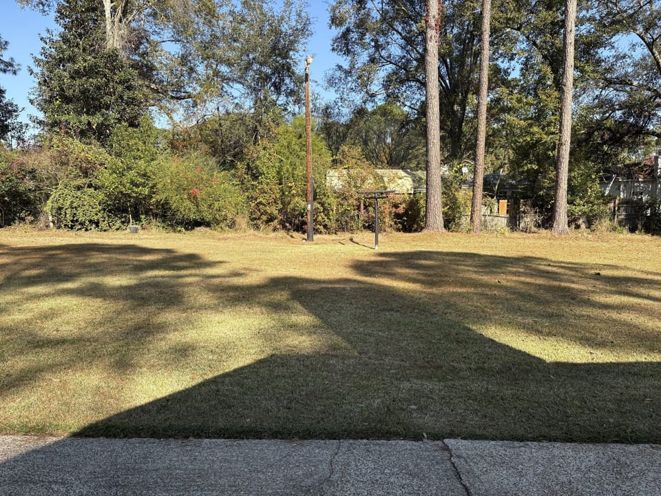 Backyard with natural privacy from hedges
