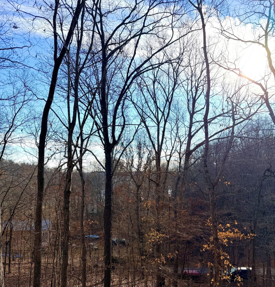 Views from the living area