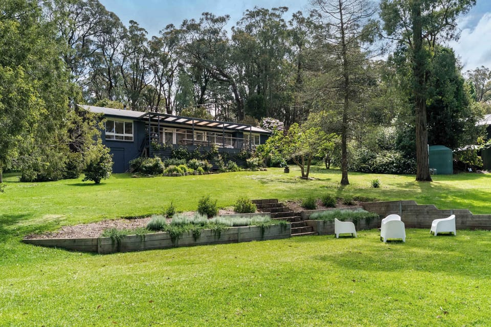 A canopy of eucalyptus overhead, creating your very own woodland backdrop