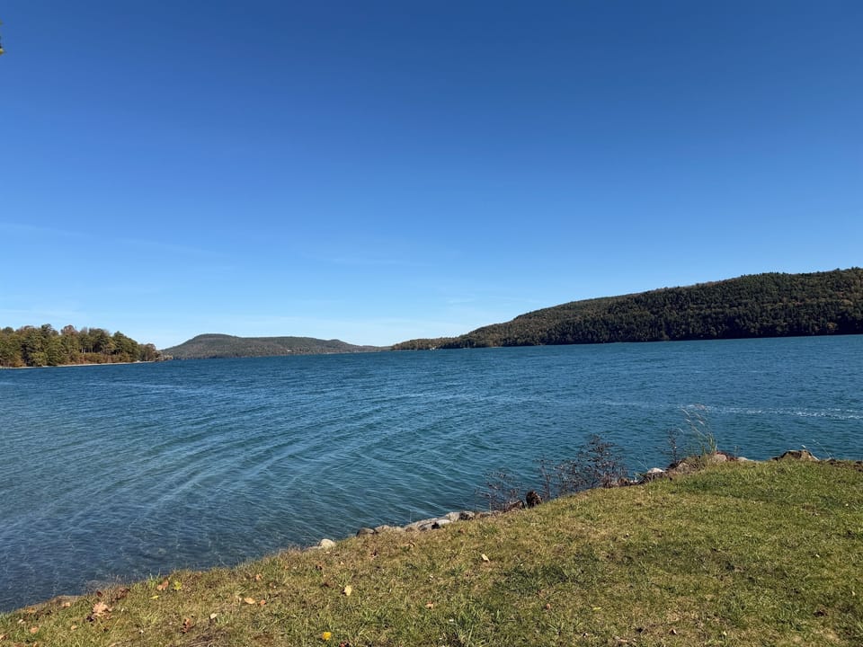 Shared waterfront looking to the north on Otsego Lake