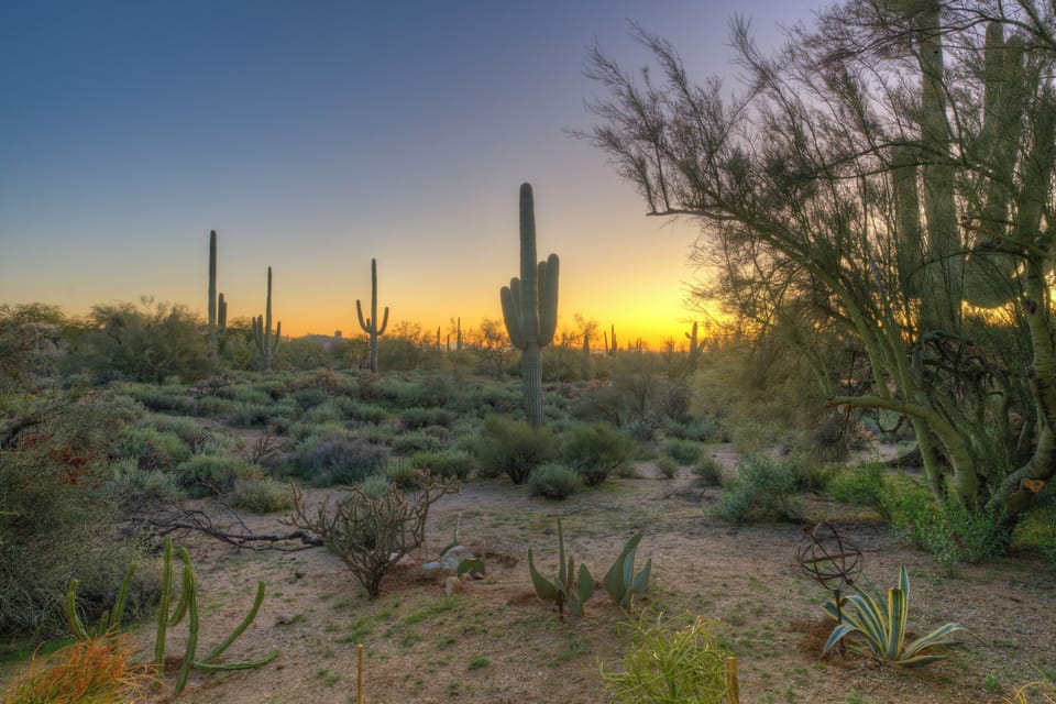 You're surrounded by expansive desert views and equine estates.