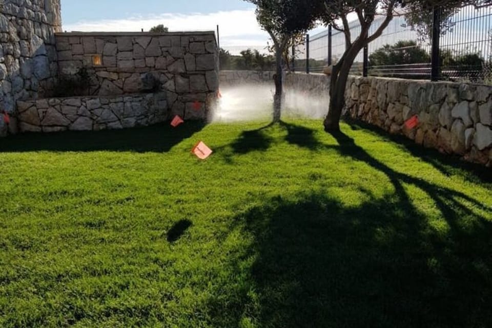 Irrigated lawns