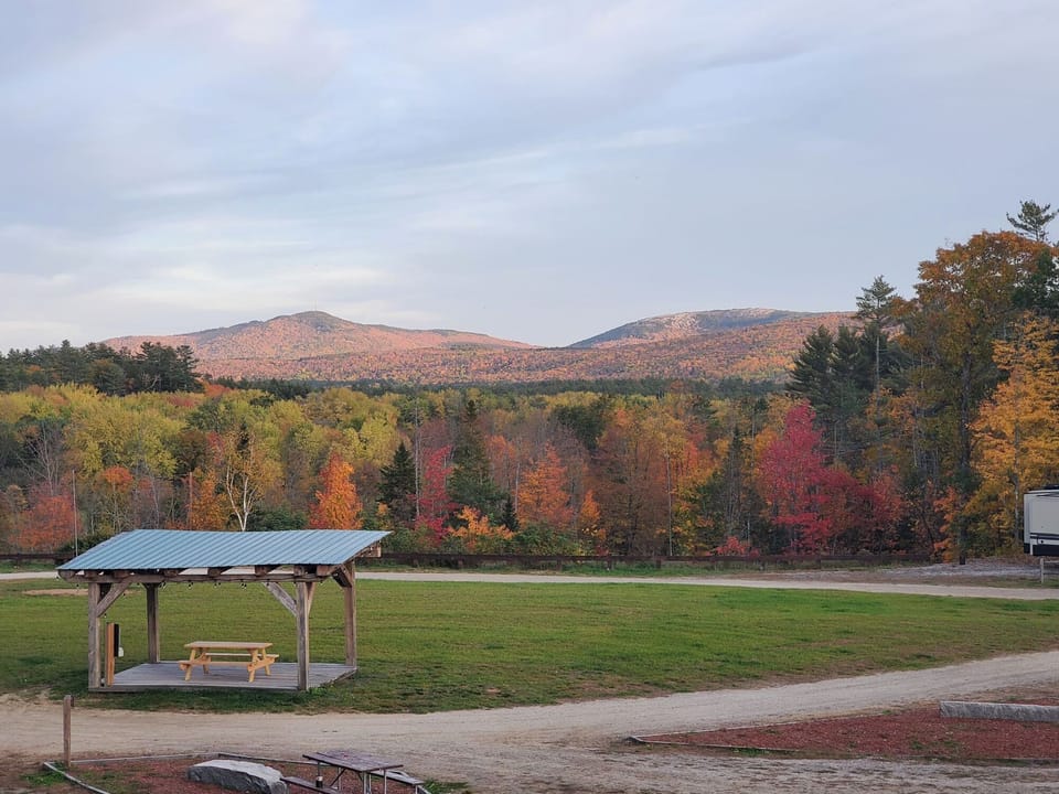 Fall Views