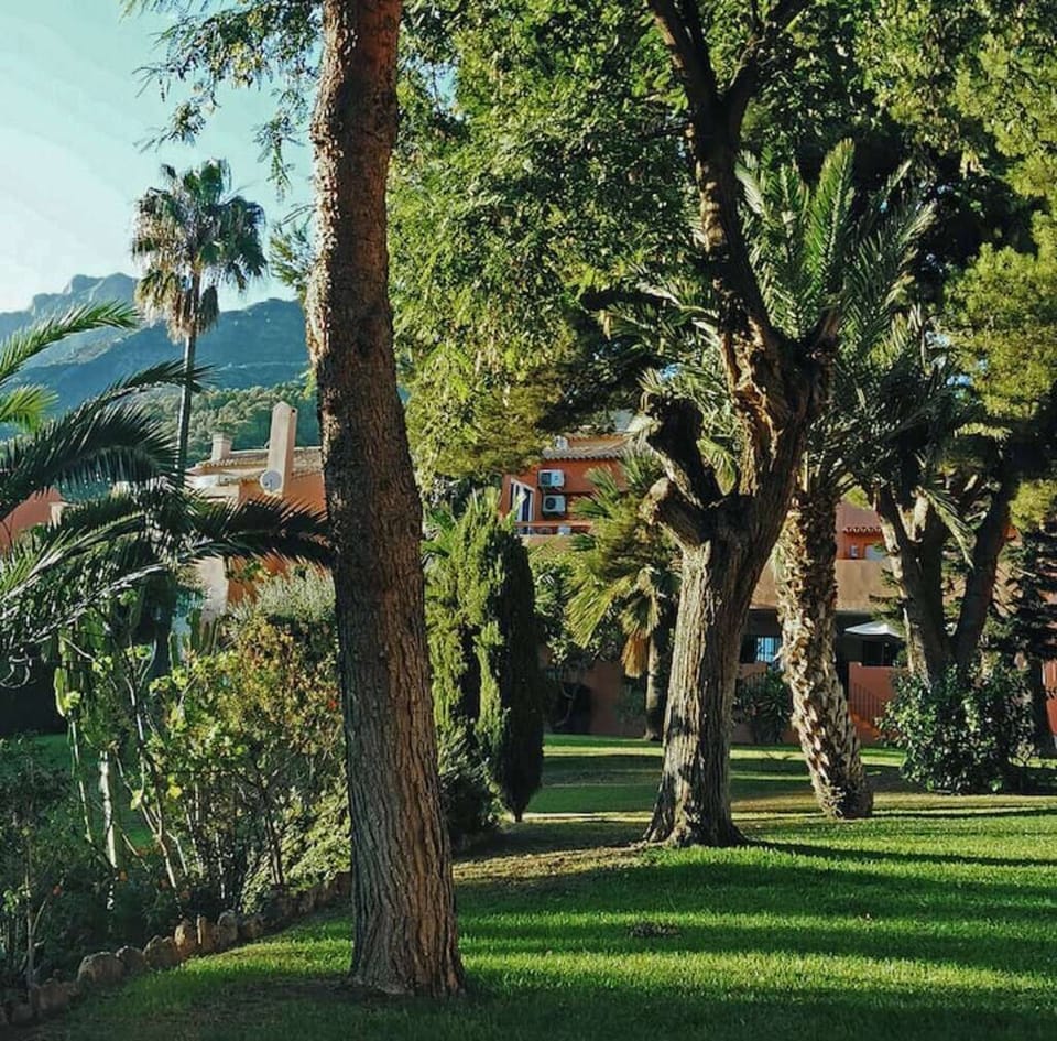 Property grounds