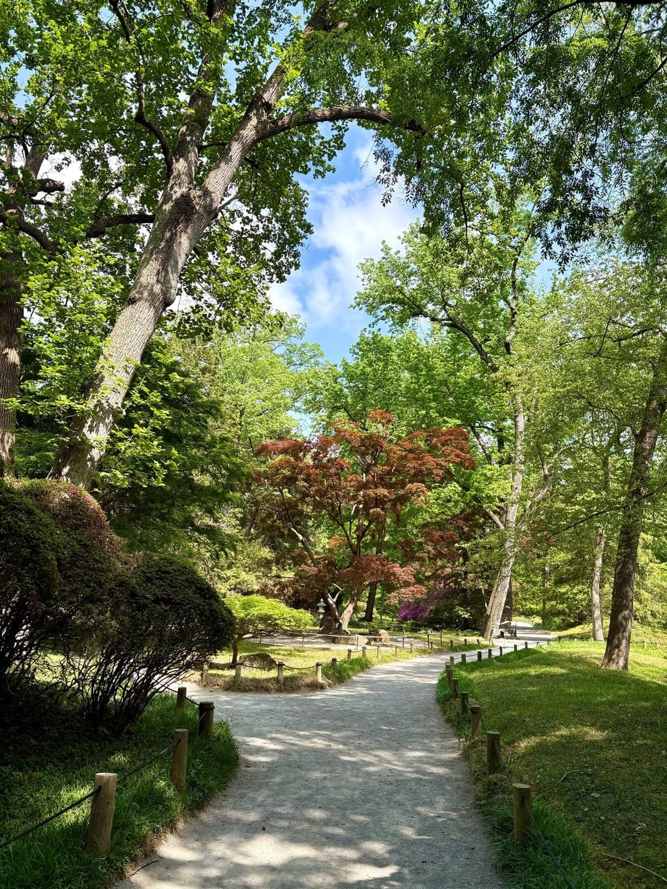 A Glimpse of Maymont Park & Gardens