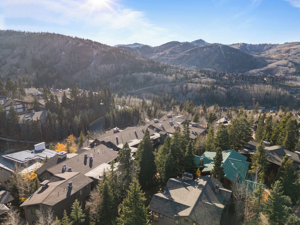 Aerial view showcasing the neighborhood and the mountain.