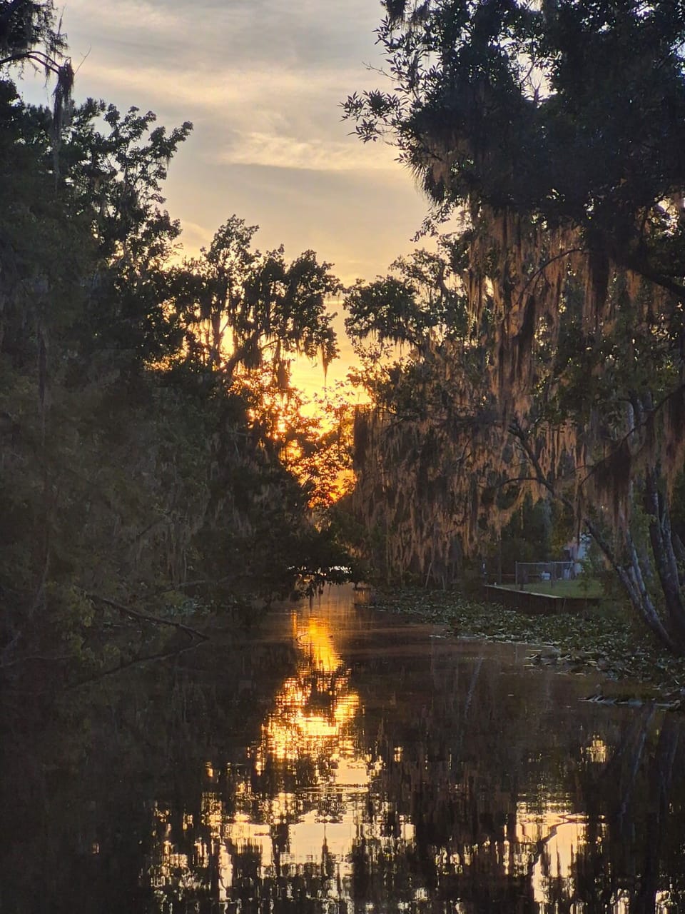 Sunsets from our canal