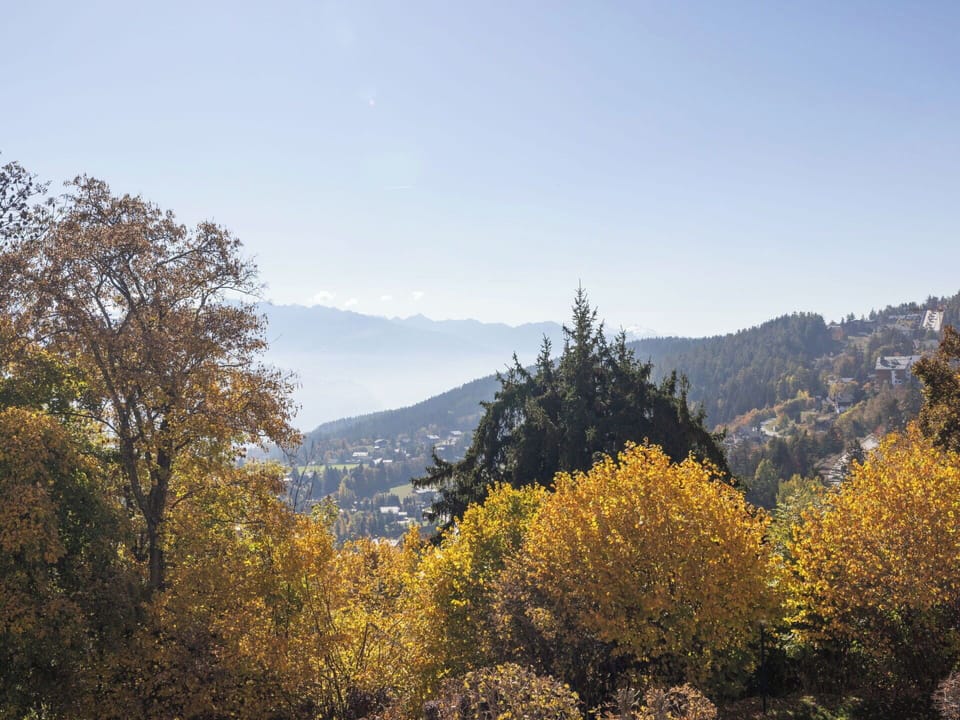 Leaf, Mountainous Landforms, Tree, Nature, Mountain, Vegetation, Branch, Hill, Natural Landscape, Wilderness
