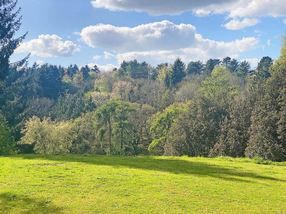 Garden and grounds | Woodland View, The Vale, near Chesham