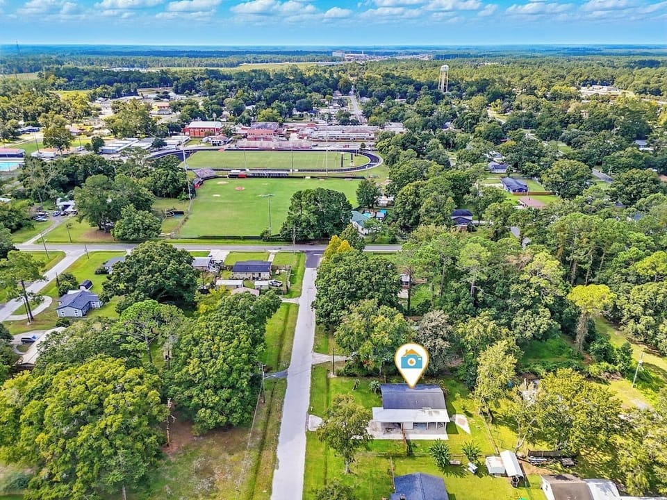 Bird’s-eye look at the neighborhood surrounded by greenery