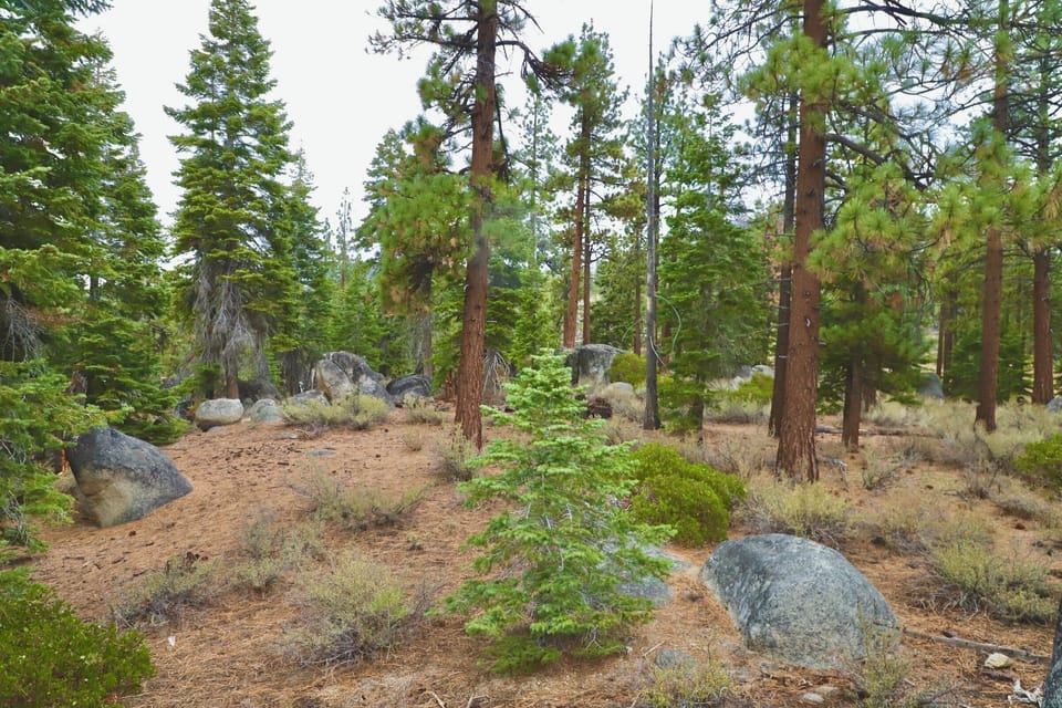 Nearby trails and hiking (less than 1 mile away)