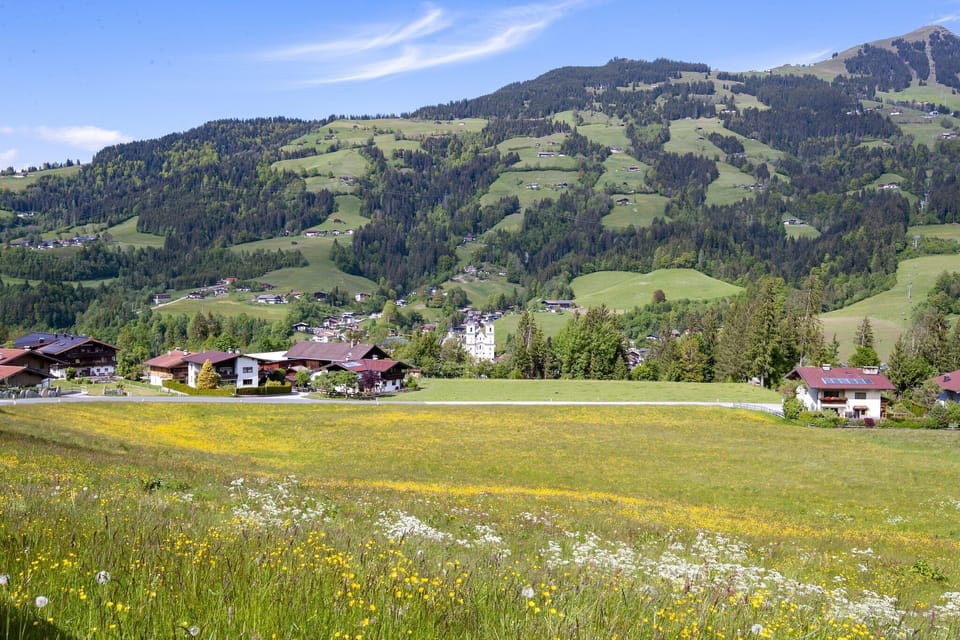 Immediate Surroundings [summer] (<1 km)