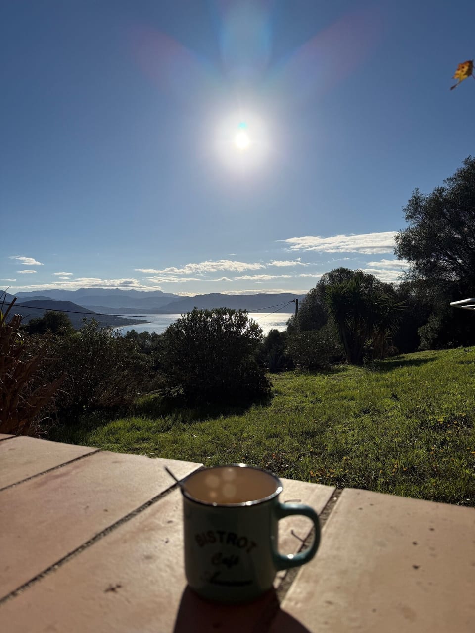 View from property