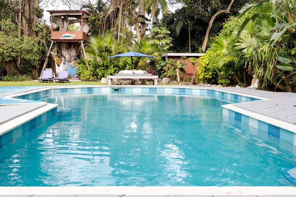 Tropical backyard with salt pool water and BBQ to Tropical paradise with private pool, hammocks, and lush landscaping, your personal Miami oasis.enjoy it!