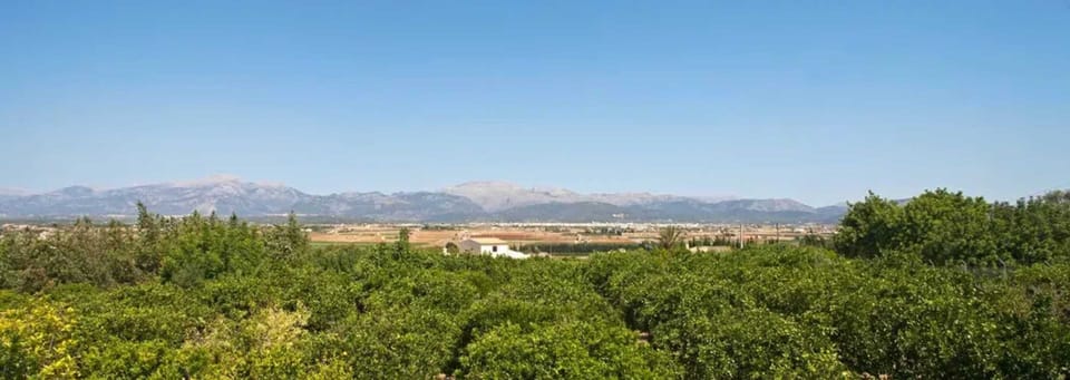City view