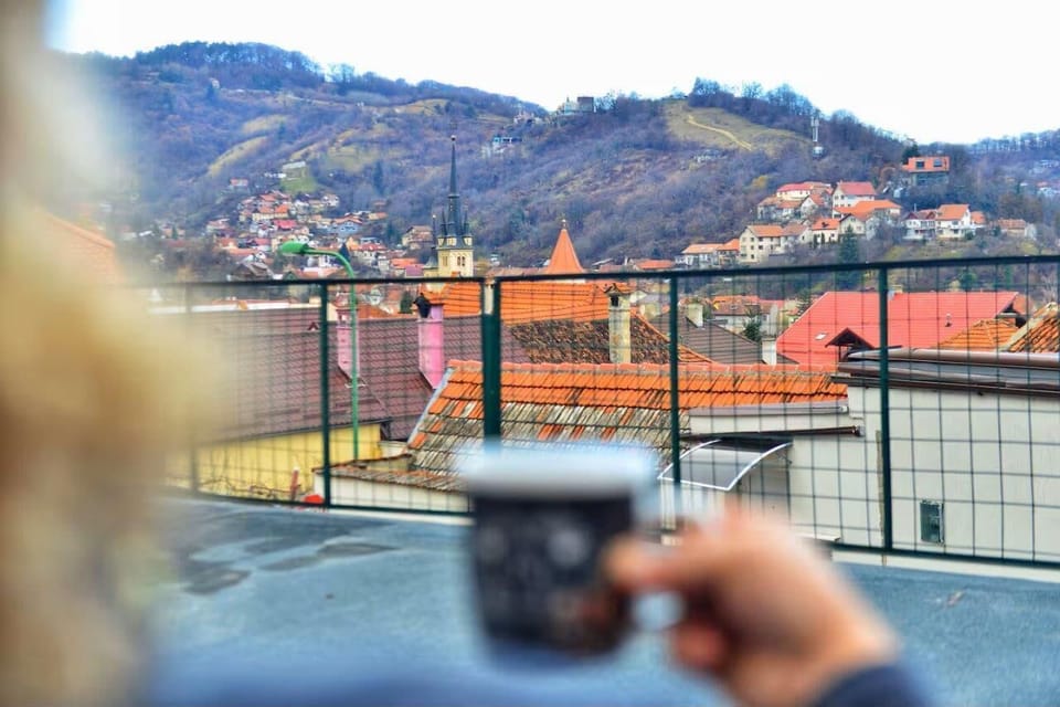 View from the patio
