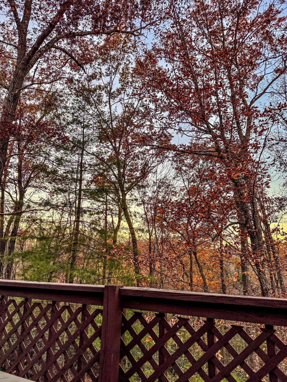 View from property