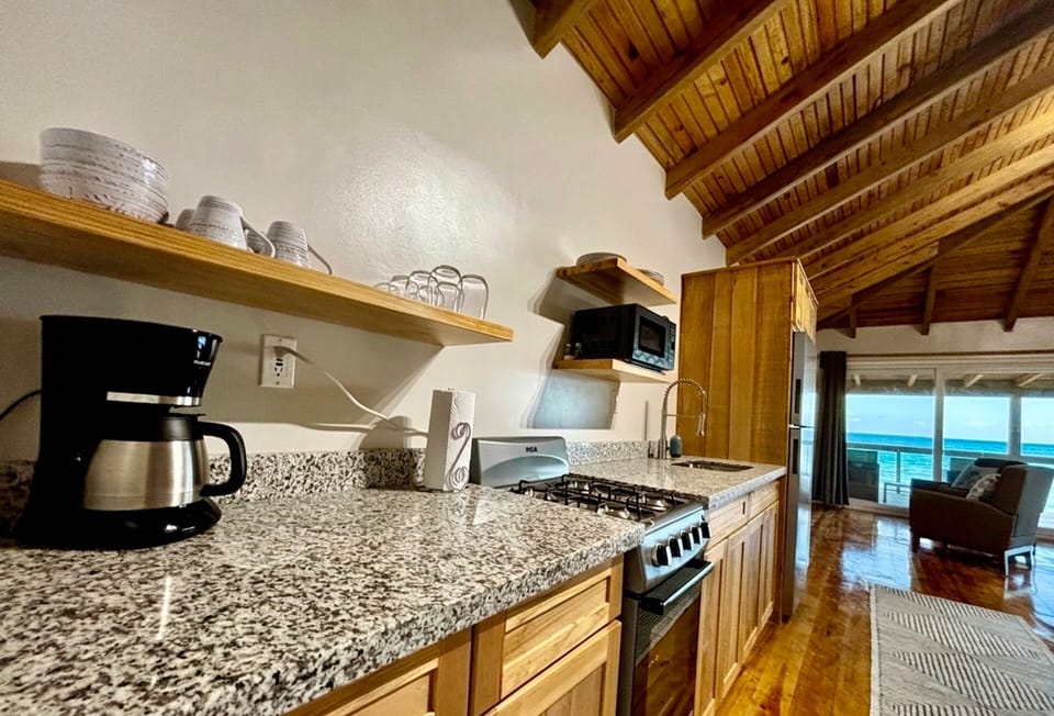 Quatro Vista Unit B3 Kitchen