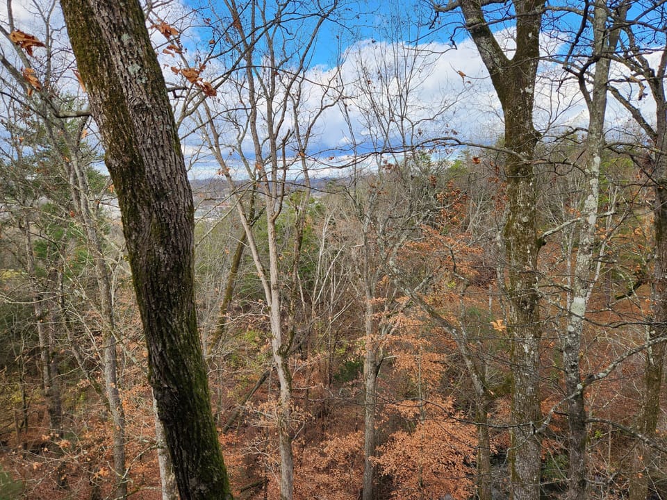 Looking out on backyard from lower deck