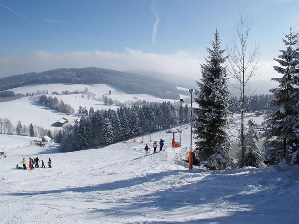 Snow and ski sports