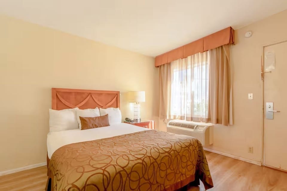 Recharge in a simple, sunlit room made for deep sleep.