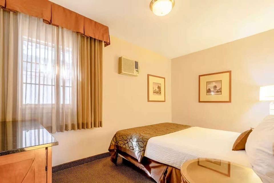 Wake up to soft daylight and a calm, restful vibe.