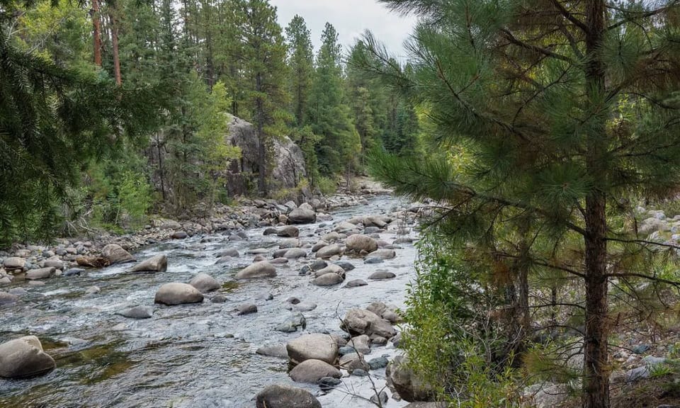 Vallecito Creekside spot - perfect for morning coffee and listening to the water.