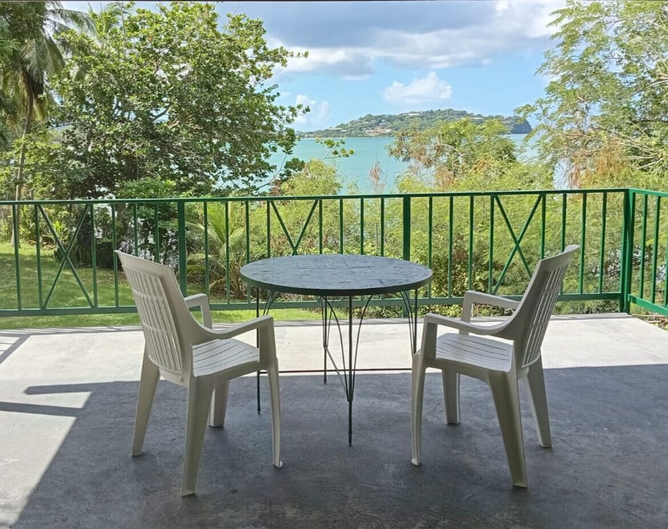 Back yard gazebo (shared space)