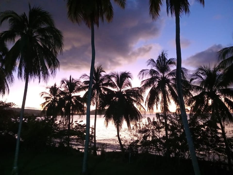 Another incredible sunset from the patio.