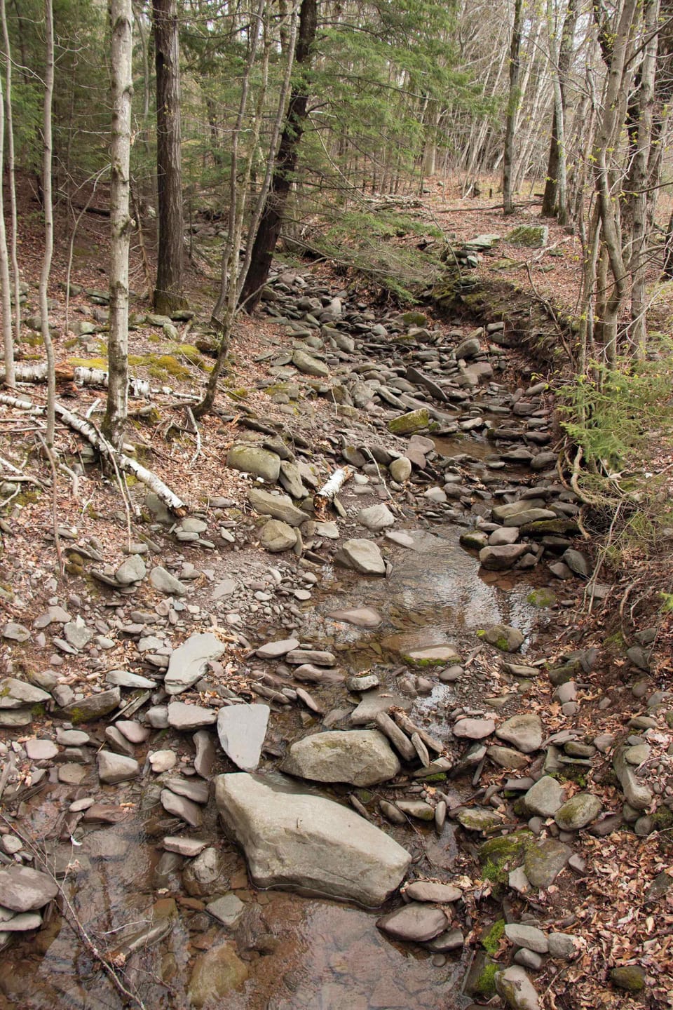 Stream