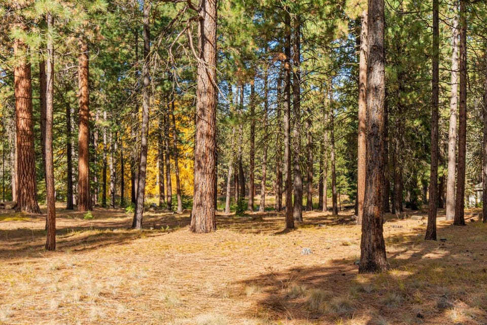 Scenic pond and natural areas within Black Butte Ranch, great for walking and enjoying the surroundings