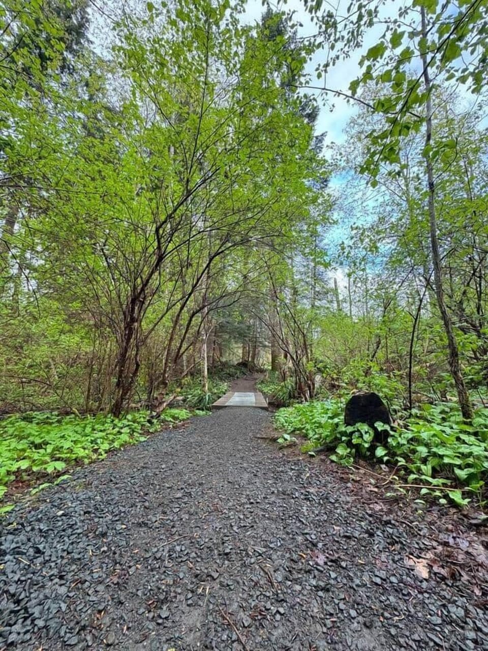 The Willowcreek Conservation Trail 