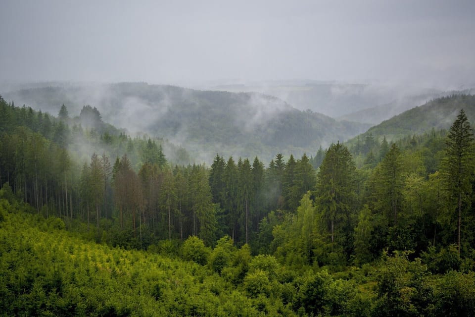 Region [summer] (>5 km)