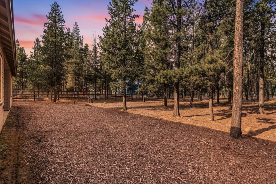 Indio Getaway- Backyard
