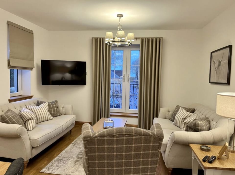 Living room and kitchen