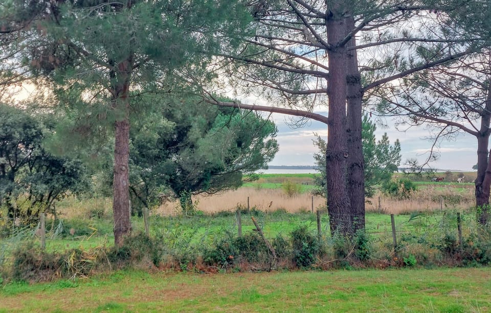 view-from-room