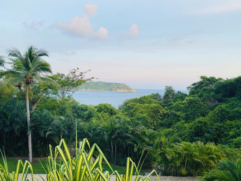 View from property