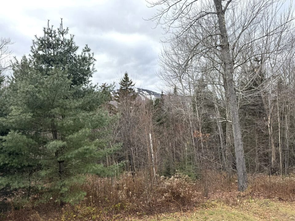 View from rear deck