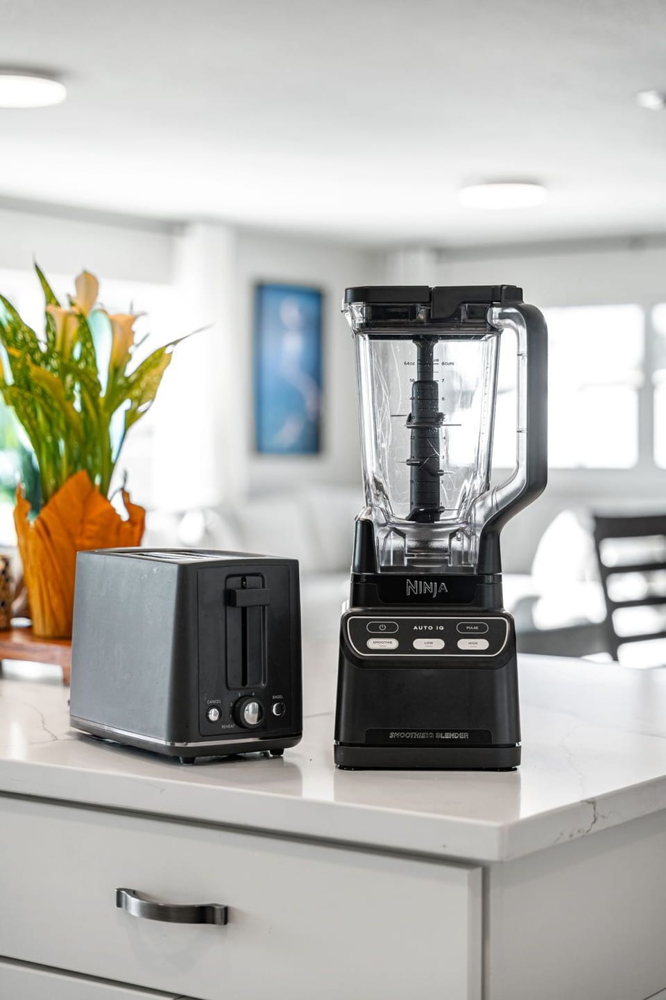 Toaster & blender provided