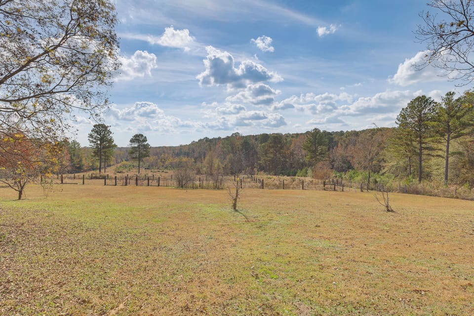 Yard | Surrounding Area