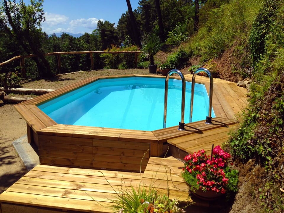 Autumn, Pool, Spring, Summer