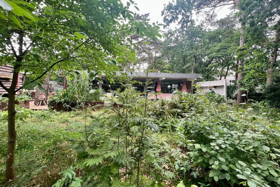 front garden