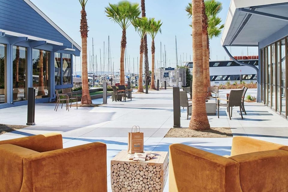 Palm-lined patio with cozy seating and walkway by the water