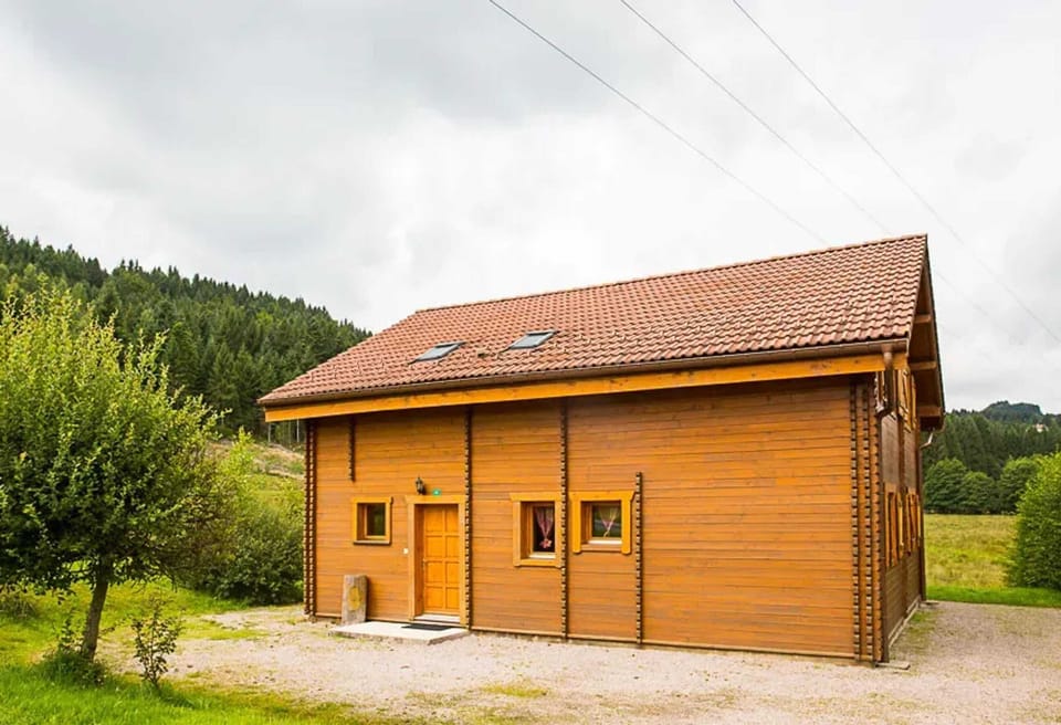 Back view
